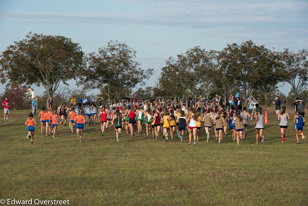 State_XC_11-4-17 -41.jpg